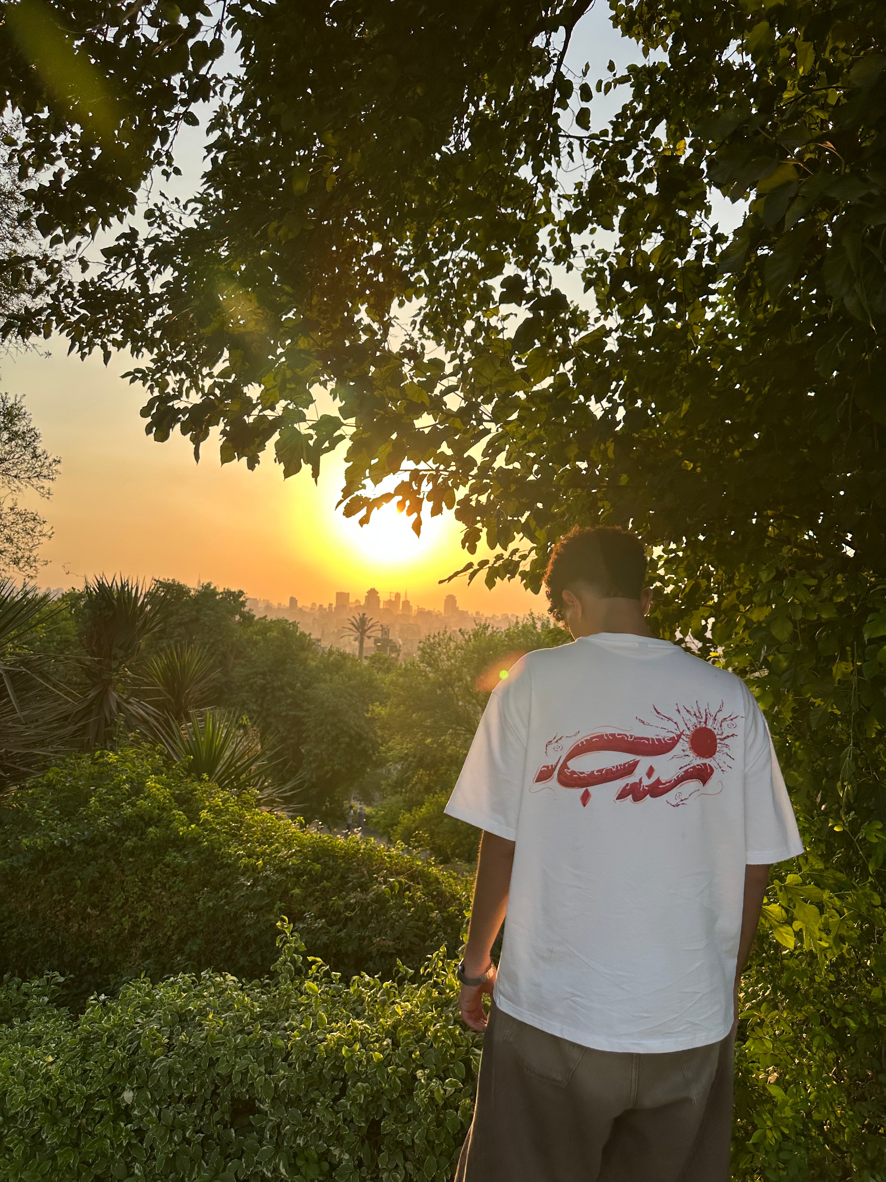 Before Departure boxy tee