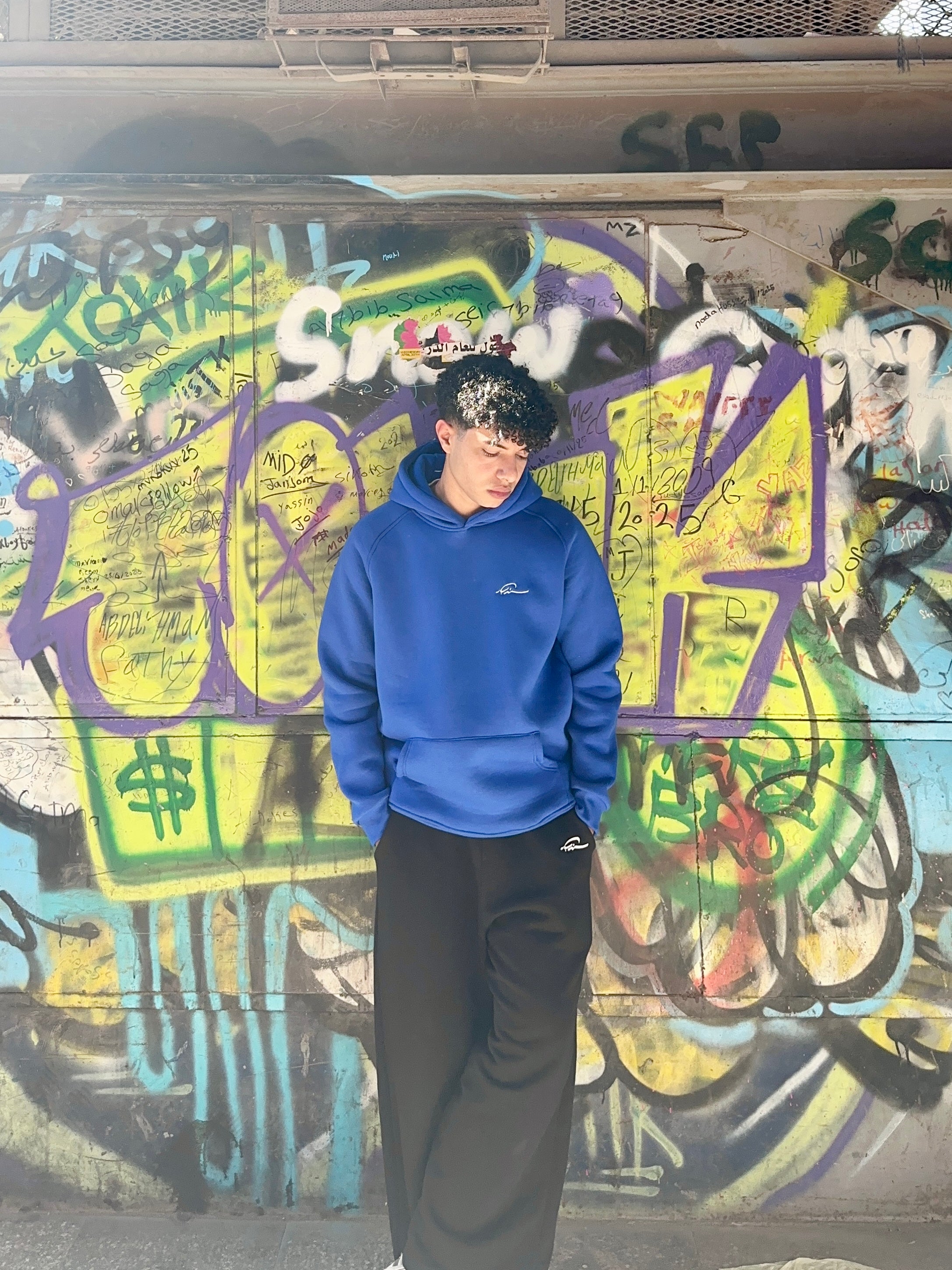 Horizon Regular Hoodie